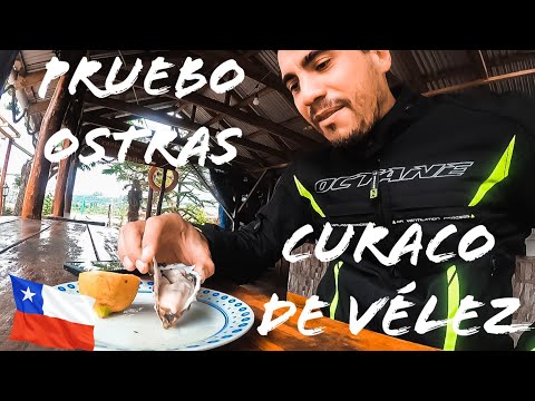 🇨🇱  🏍️  Curaco de Vélez - DALCAHUE - Viaje a CHILE en MOTO - CAPITULO 62