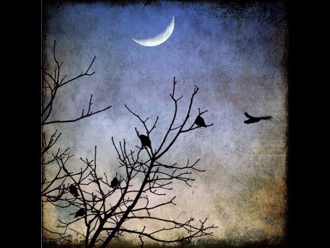 John McCormack ~ Bird songs at eventide.  1927