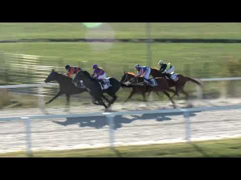 2018.09.30. 06. futam - NÉMETH FERENC EMLÉKKUPA V. FUTAMA HENDIKEP (V/b.)(szintetikus pálya)