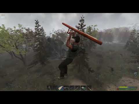 #35 ALPHA 59 UPDATE. SUBSISTENCE, CHECKING THE NEW LAND.