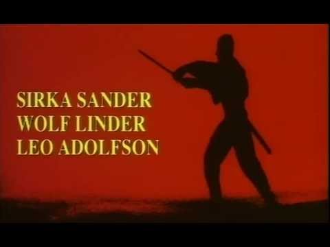 The ninja mission 1984