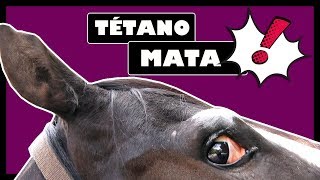 Miniatura do vídeo
