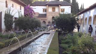 Create a Spectacular Garden