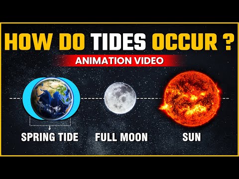 How the tides REALLY work | Low tide, High Tide, Spring Tide, Neap Tide | OnlyIAS