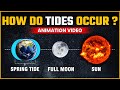 How The Tides REALLY Work Low Tide High Tide Spring Tide Neap Tide OnlyIAS