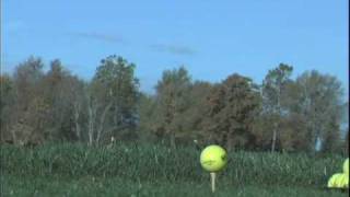 Barton Hills Country Club: Ann Arbor Real Estate www.KathyToth.com | 734-426-6669