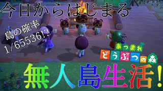 【あつまれどうぶつの森】今日からはじまる無人島生活！島がまさかの1/65536!?!?【１日目】
