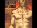 Stampin' Ground - Fundamental Truth