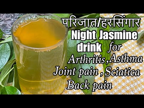 Benefits of Parijat/Harsingar | Uses of growing night jasmine | How to use Parijat | Parijat plant
