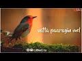 Chittu Kuruvi Ondru WhatsApp Status Chittu Kuruvi Ondru Lyrics