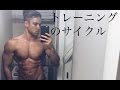 【筋トレ】身体に磨きを!トレーニングのサイクル