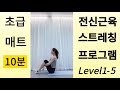 초급 하루10분 전신스트레칭만으로도 놀라운효과👀 전국민건강프로젝트level1 5 층간소음❌반복❌ 매일10분씩 건강보험💰