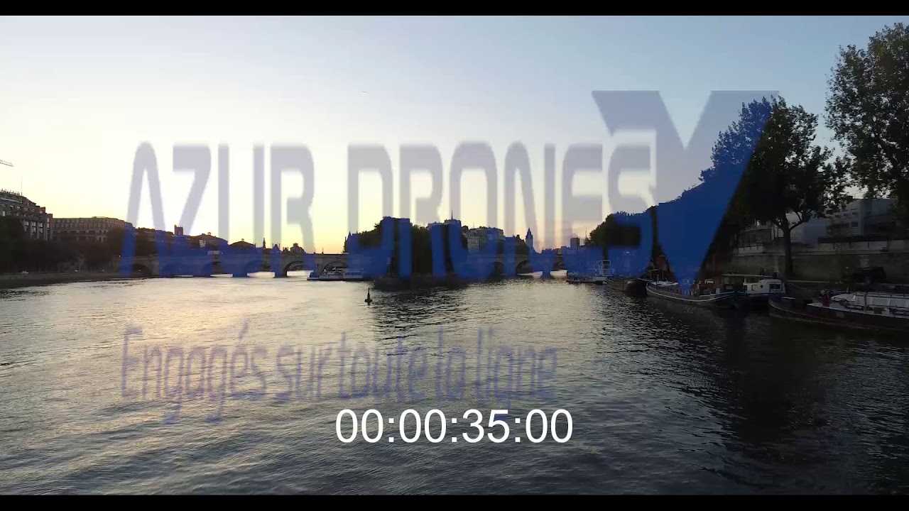 PONT DES ARTS ILE DE LA CITE