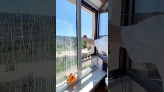 how to clean window glass?