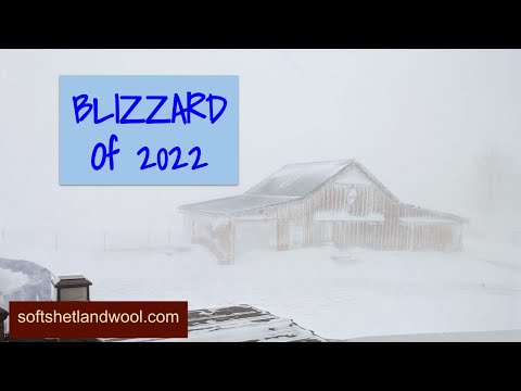 Sheep Farm Vlog 92 - Blizzard of 2022 on the Farm