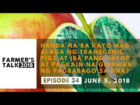 Alina Kabaeva na slimming litrato Ang ibig mo bang pumayat kapag ikaw hiwa
