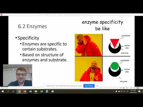 AP - Chapter 6 - Metabolism, Energy, and Enzymes