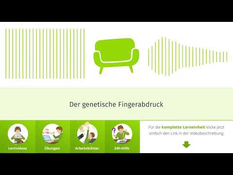 Der genetische Fingerabdruck: Was ist das und wie wird das gemacht?