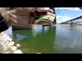 Video Thumbnail for Fishing at the South of Saskatchewan River/ Trying New Lures