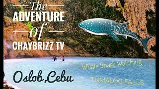 preview picture of video 'Best Adventure in Cebu #6'