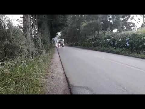 Damin na buzina 😉