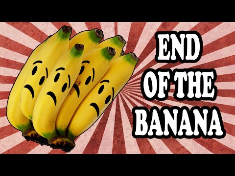 The Coming Banana Apocalypse