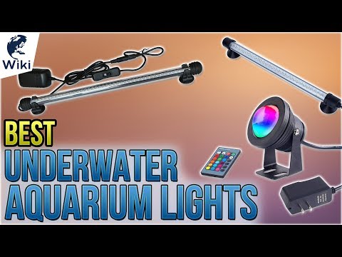 10 best aquarium lights