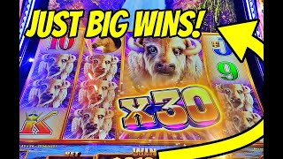 Supermarket Spree — Big Wins