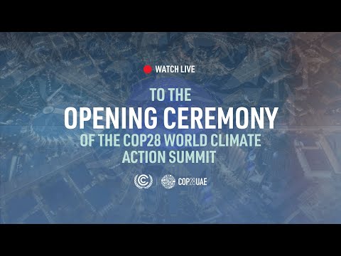 Frontier Africa Reports