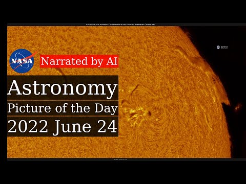 APOD: 2022-06-24 - Filaprom on the Western Limb (Narrated by Brian)