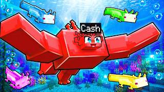Cash Becomes an Axolotl in Minecraft