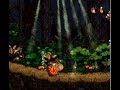 DKC2 Through The Ground Death