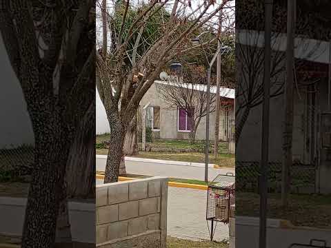 Pueblo Sarmiento, Pcia de Córdoba 