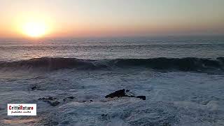 محمد معتصم | شهادة الدكتور الناقد حسن المودن في الناقد محمد معتصم