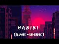 Habibi Albanian Remix - ( Slowed + Reverb ) | RICKY RICH | DS ABHISHEK
