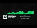 [Lyrics] Tristam - Till It's Over 