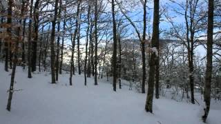 preview picture of video 'Nieve en el Hayedo de Suano'