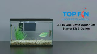 PetSmart Top Fin All-In-One Betta Fishtank #Aquarium Kit Setup