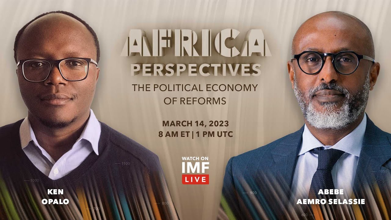 The Political Economy of Reforms in Africa | Africa Perspectives