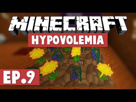 Minecraft Hypovolemia - SPEED RUNES & BOTANIA! #9 [Modded HQM Pack]