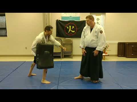 Making Aikido effective series:Muay Thai low Round kick. Mechanics for learning how to defend it