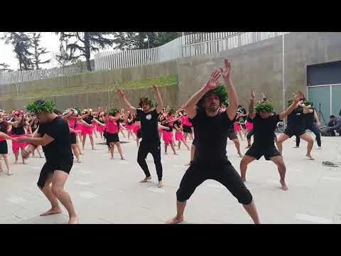 Flashmob Ori Tahiti 2019 (Mis bailes polinesicos)