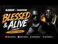 🎵 Rudeboy ft. Sarkodie – Blessed & Alive (Official Lyrics Video) | @ImAndyFiner