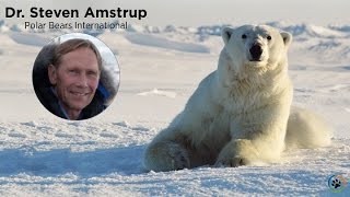 preview picture of video 'Polar Bears International · Dr. Steven Amstrup · Expo 2014'
