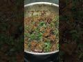 Chicken Sukka Recipe Chicken Masala Chicken Sukka Shorts Cooking Viral Chickencurry