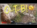 Slow And Sore On Sturt Gorge Pt1