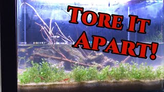 I destroyed my Walstad Tank....but WHY?