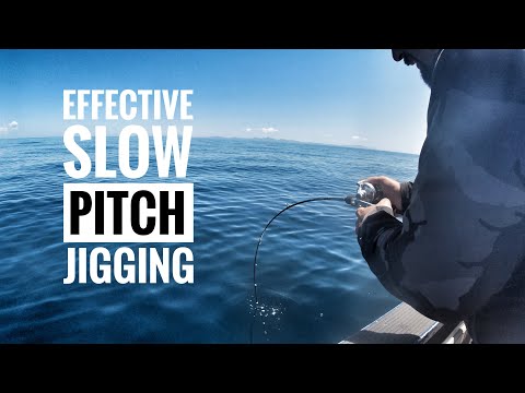 Slow pitch jigging seminar / effective slow pitch jigging / learning slow pitch jigging #seminar