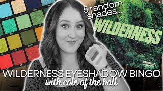 BEAUTY BAY WILDERNESS EYESHADOW BINGO! Makeup Roulette Challenge With Cole Of The Ball *NEW* Palette