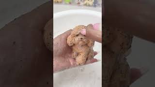 Download lagu Cleaning Taba Squishy ASMR #asmr #slime #relaxing #stressrelief #satisfying #squishy #cleaning mp3